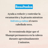 Shampoo Anticaspa con Aceite de Tea Tree Naturaloe 350 ml