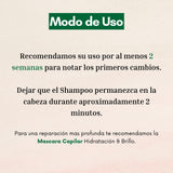 Shampoo Naturaloe Hidratación Y Brillo 350ml