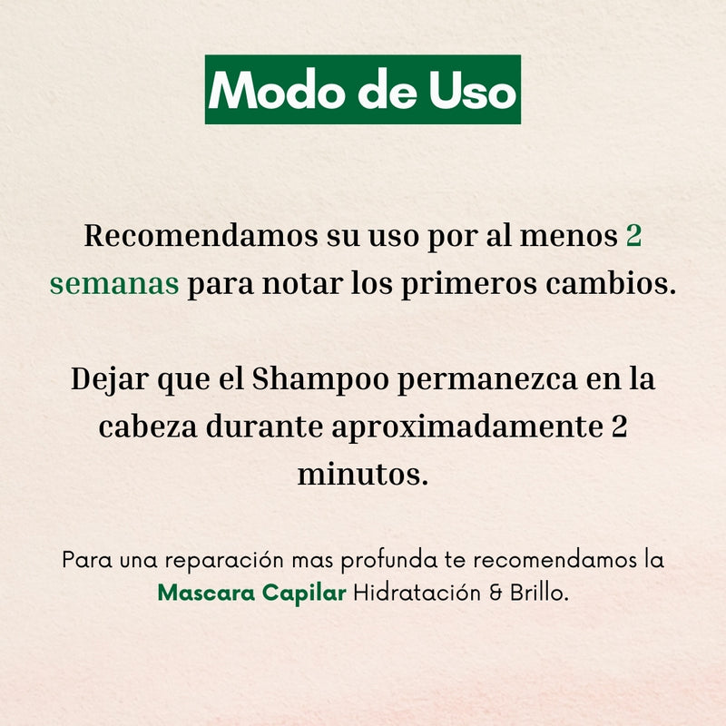Shampoo Naturaloe Hidratación Y Brillo 350ml