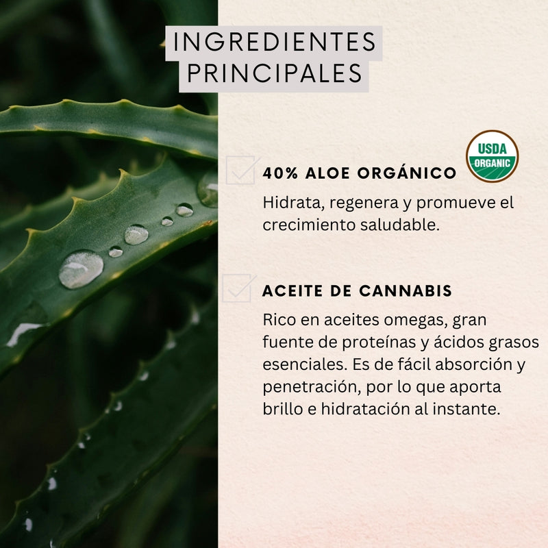 Acondicionador Aceite de Cañamo Naturaloe 350ml