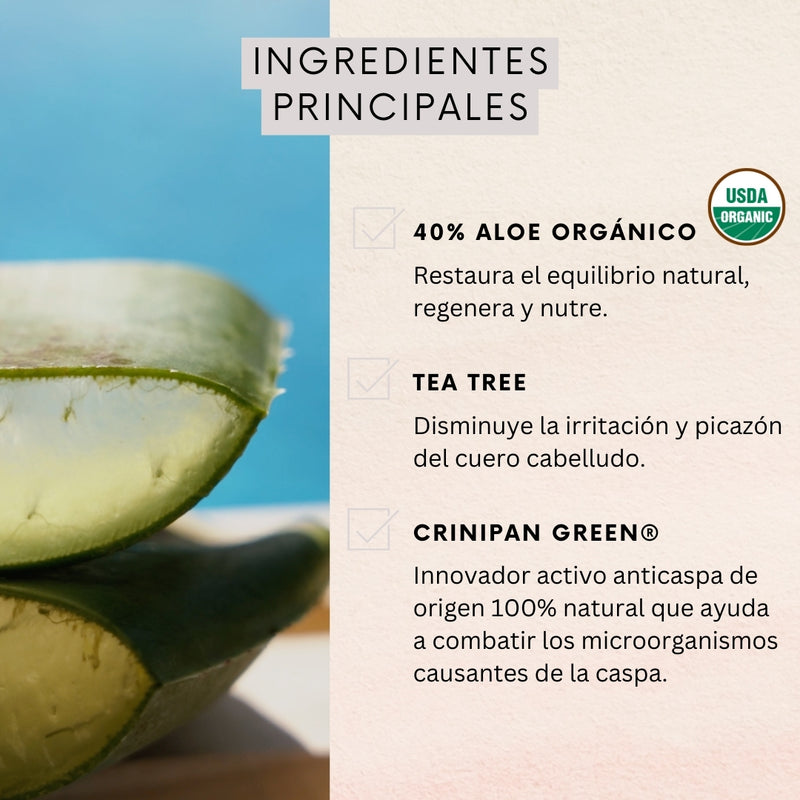 Acondicionador Anticaspa con Aceite de Tea Tree  Naturaloe 350 ml